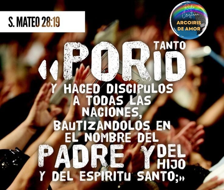 WhatsApp Image 2024-08-07 at 23.09.35